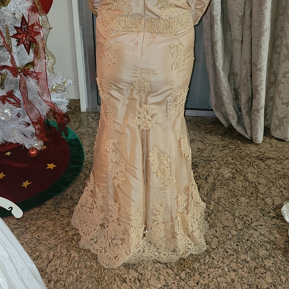 Peach Maxi With Jacket - Picture 2 of 4